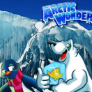 Arctic Wonders